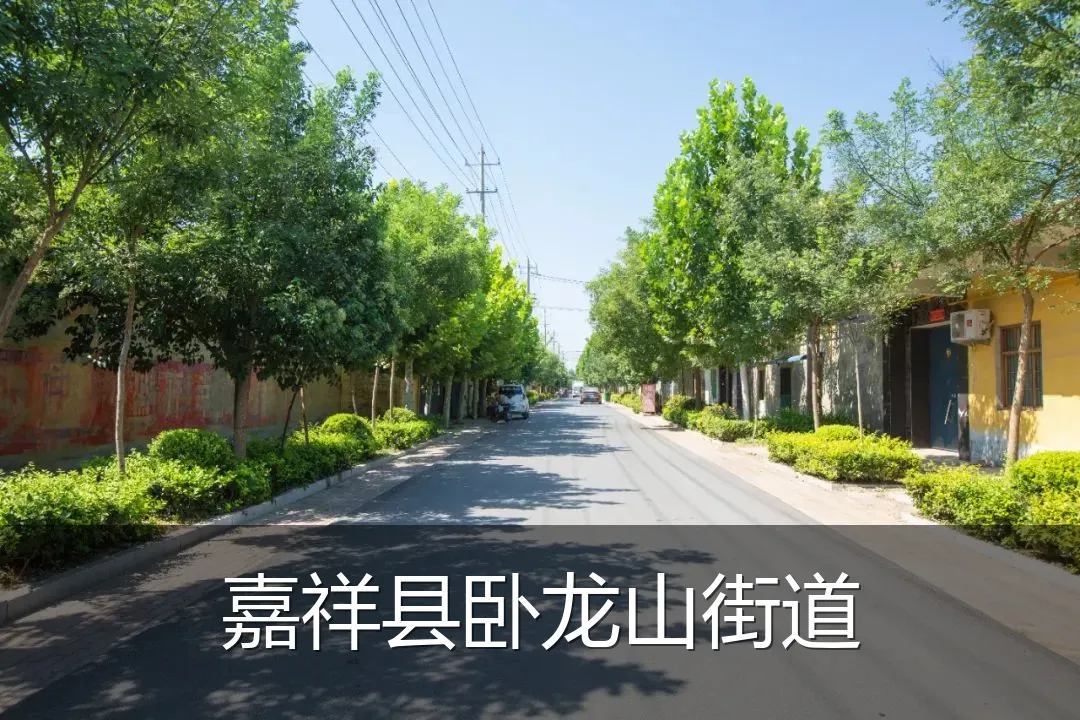 嘉祥县卧龙山街道